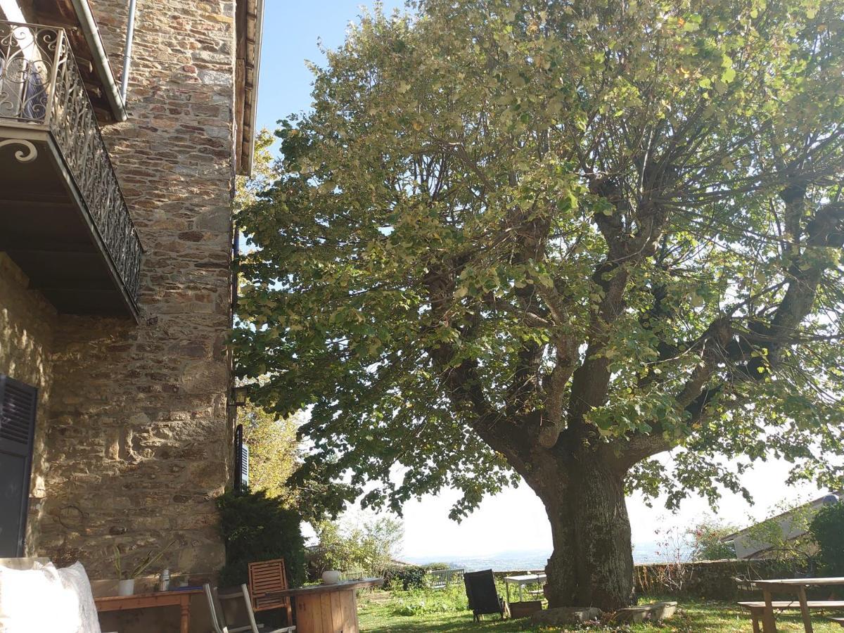 Chateau De Riverie Chambres Et Table D'Hotes Esterno foto