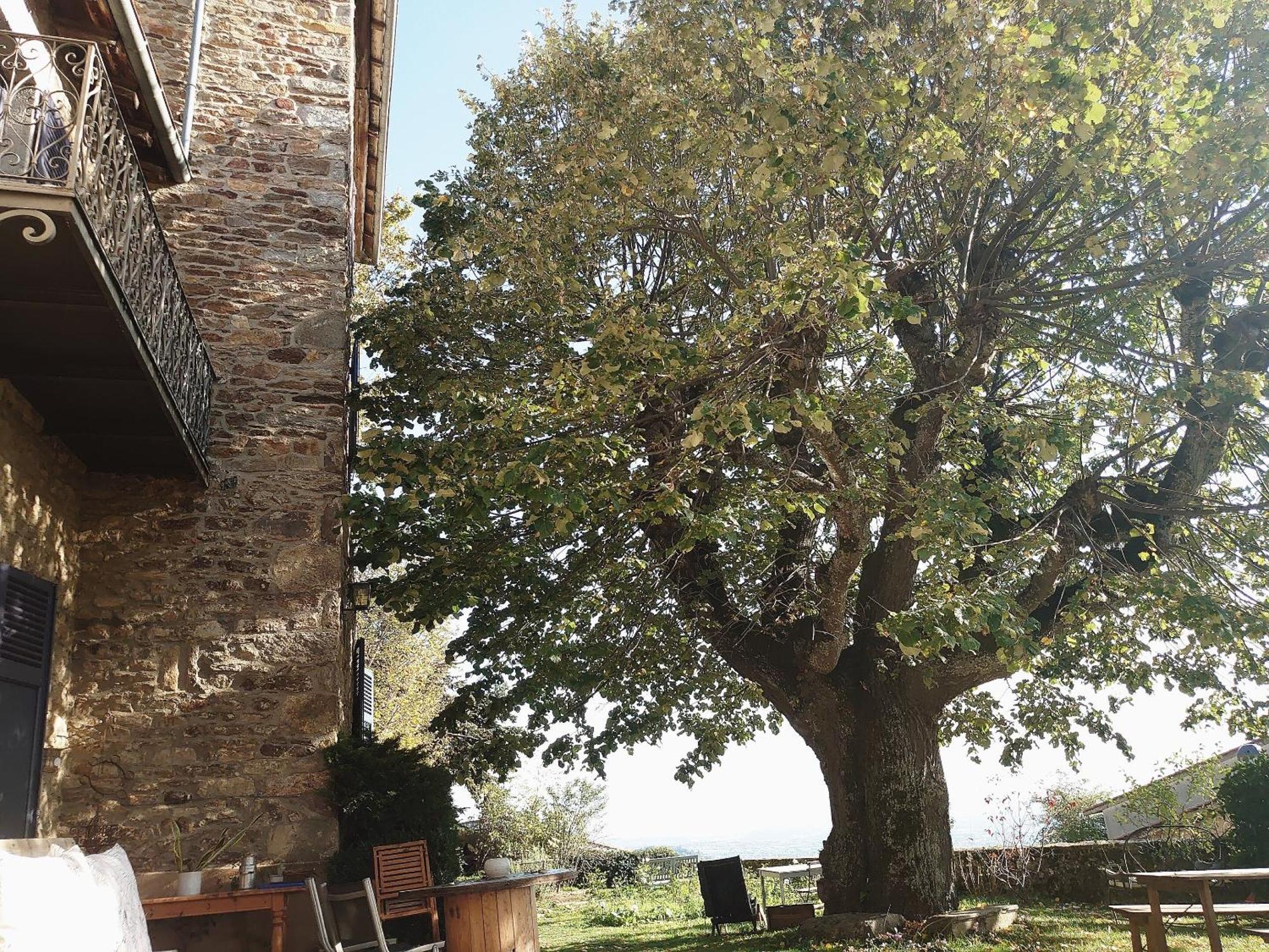Chateau De Riverie Chambres Et Table D'Hotes Esterno foto